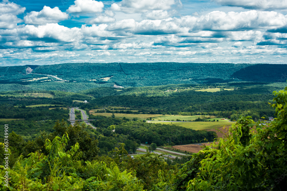 Naklejka premium The Valley