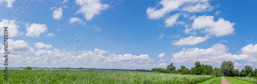Green field under blue clouds sky