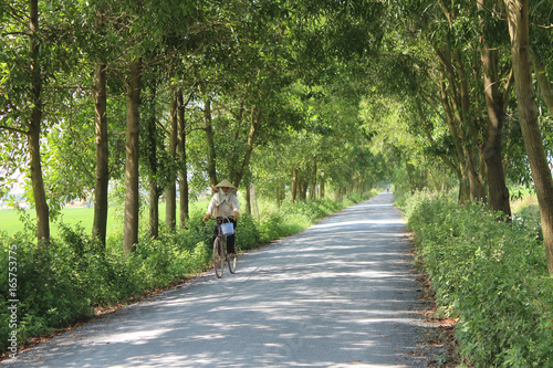 Asian woman riding a bicycle on the road photo