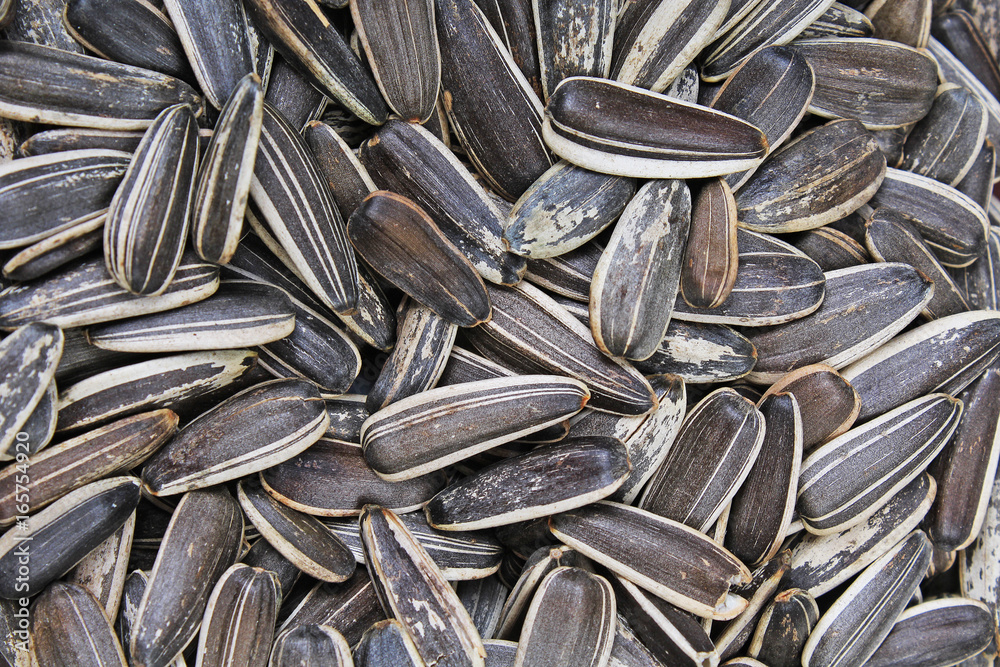 sunflower seed closeup texture studio photo. sunflower seed closeup texture studio photo.