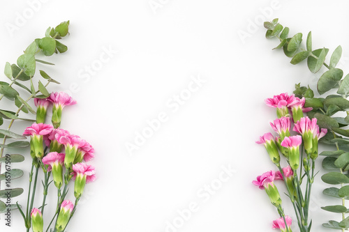 Fototapeta Naklejka Na Ścianę i Meble -  Baby eucalyptus leaves and pink carnation flowers on white background with copy space