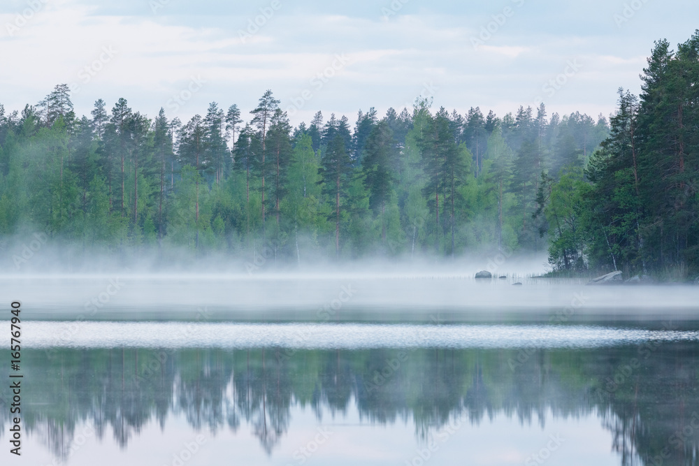Foggy calm lake and forest at summer night