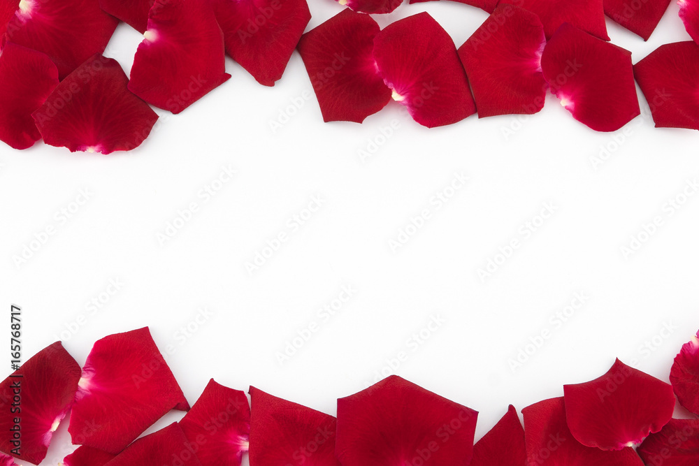 Red rose petals with copy space on white background Red rose petals with copy space on white background