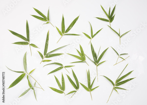 Fototapeta Naklejka Na Ścianę i Meble -  Fresh bamboo leaves isolated on white
