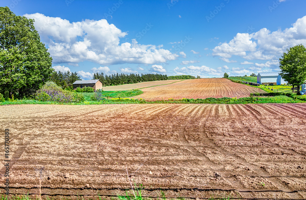 Ile D'Orleans landscape with brown raked field furrows in summer for potatoes and farm house