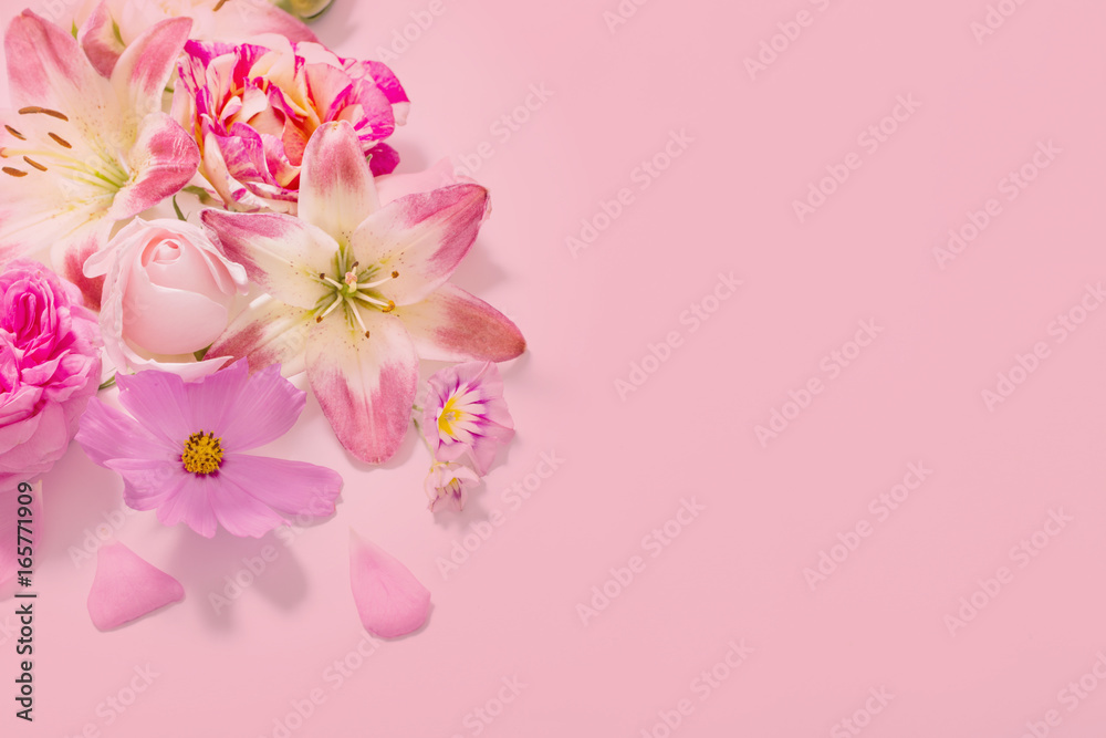 Fototapeta premium summer flowers on pink background
