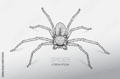 Abstract vector illustration of spider