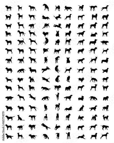 Black silhouettes of dogs on a white background, vector