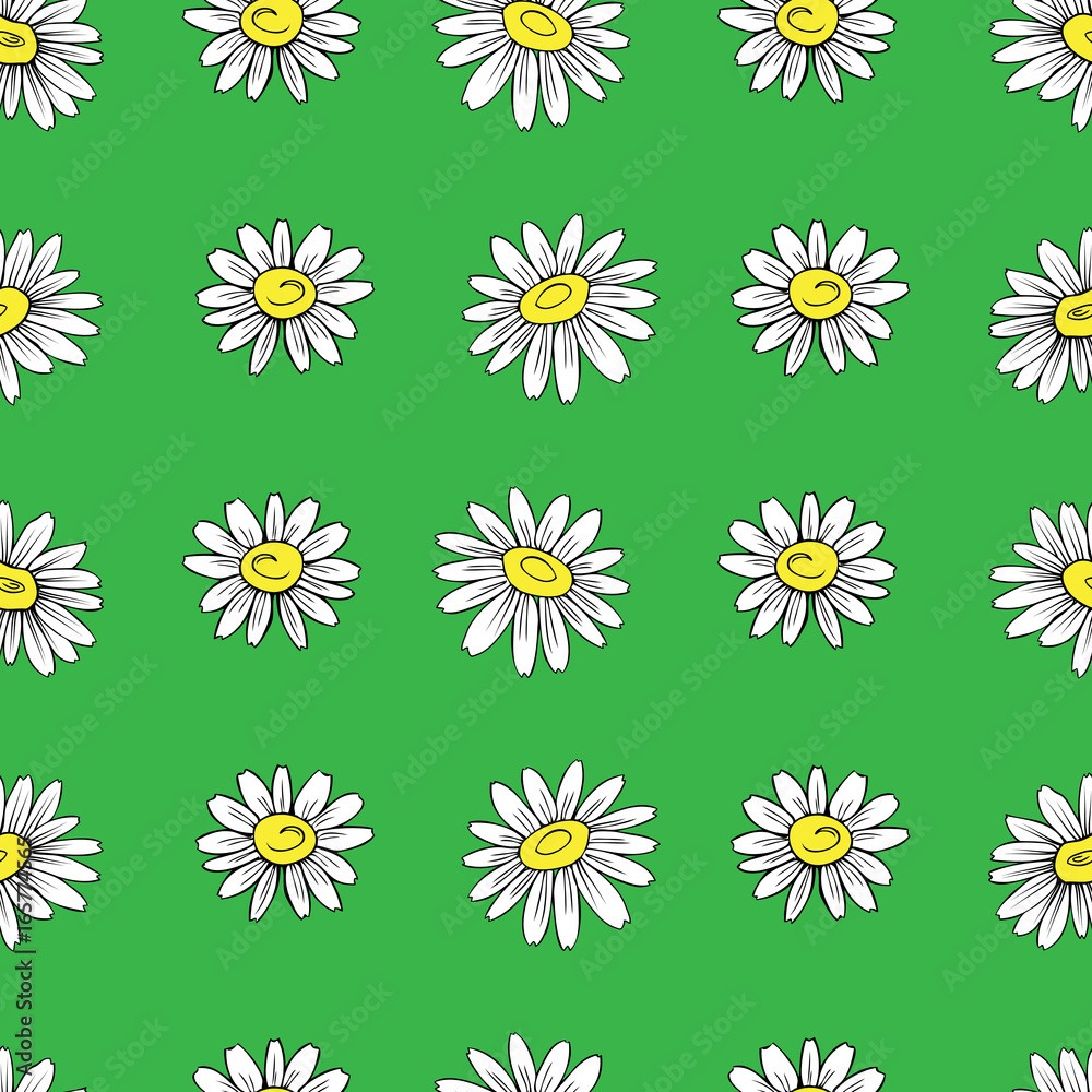 Chamomile wild field flower isolated on green background, hand drawn daisy sketch vector doodle illustration, seamless floral pattern for design package tea, cosmetic, medicine, textile, decor fabric