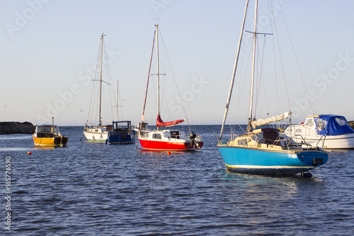 Boats on their moorings beside Cockle Island in the natural tidal harbour at Groomsport in Co Down,Northern Ireland with  Belfast Lough in the background. © Michael
