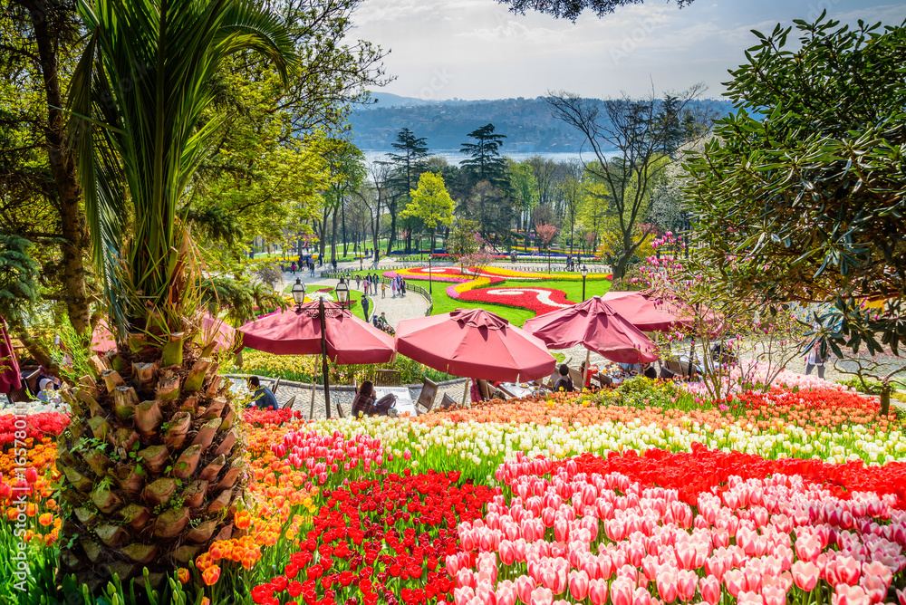 Φωτογραφία Traditional Tulip Festival in Emirgan Park, a historical urban park located in the Sariyer district of Istanbul, Turkey