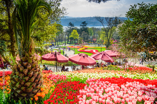 Traditional Tulip Festival in Emirgan Park, a historical urban park located in the Sariyer district of Istanbul, Turkey. Tourists visit and spend the weekend.ISTANBUL/TURKEY- APRIL 15,2017 photo