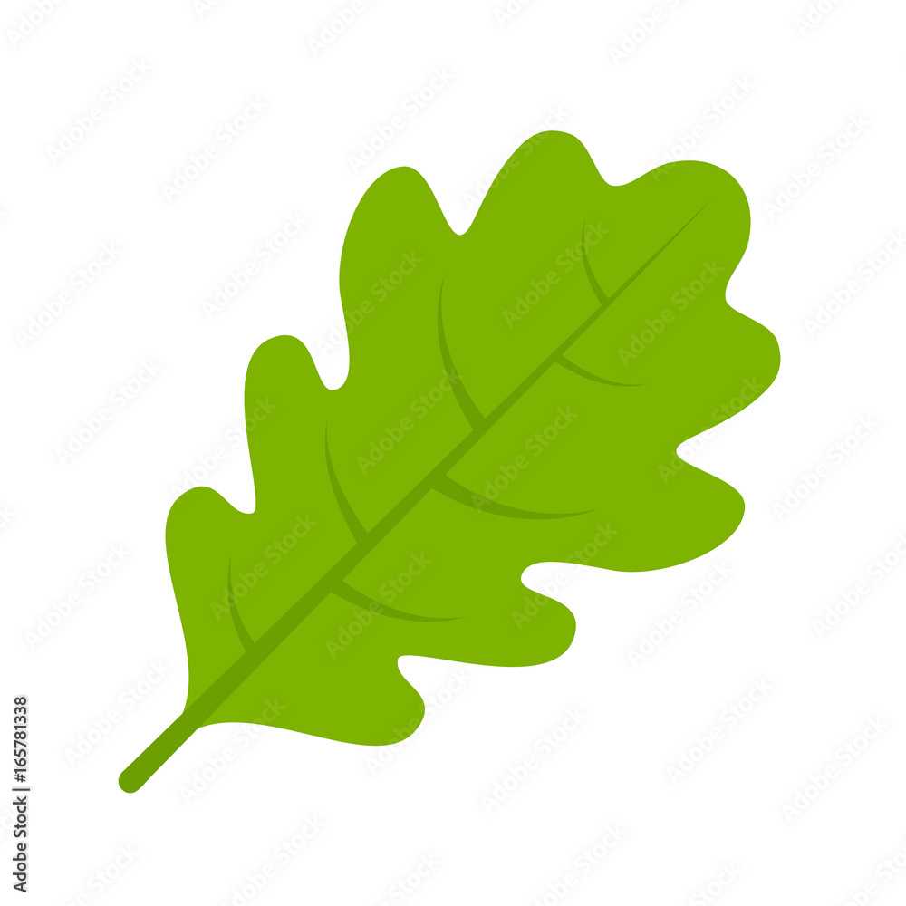 Green oak leaf vector illustration - obrazy, fototapety, plakaty 