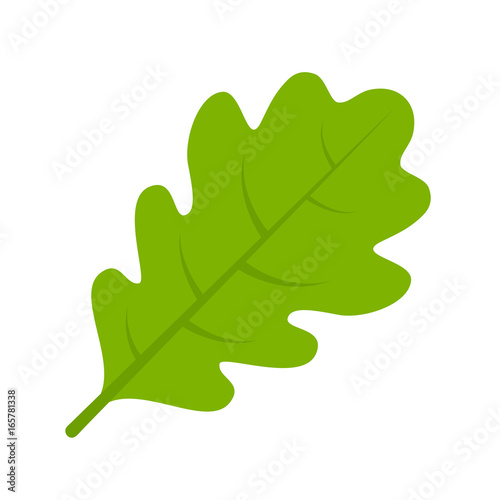 Obraz na płótnie Green oak leaf vector illustration w salonie