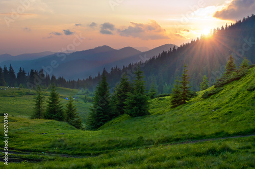 Sun setting behind spruce trees on a lush green slope. Tents and smoke in the distance. Several clouds in the orange sky at sunset. Warm summer evening. Marmarosh range, Carpathian mountains, Ukraine