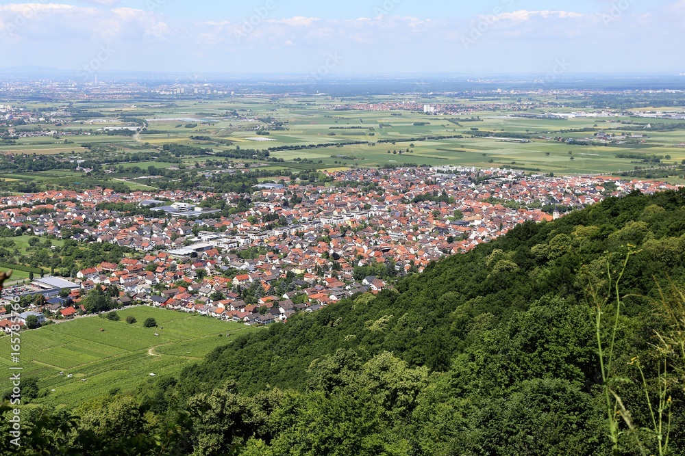 Blick vom Odenwald auf Schriesheim und die Rheinebene
