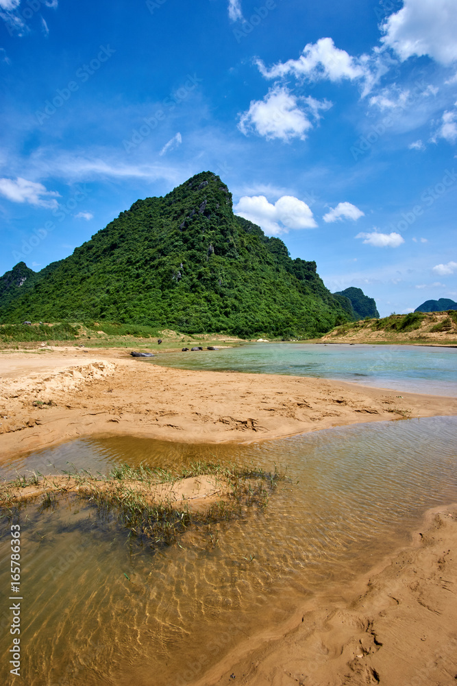 Water buffalos in a clear river in the National Park of Phong Nha Ke Bang, Vietnam. With big mountains and the blue sky in the background. Water buffalos in a clear river in the National Park of Phong Nha Ke Bang, Vietnam. With big mountains and the blue sky in the background.