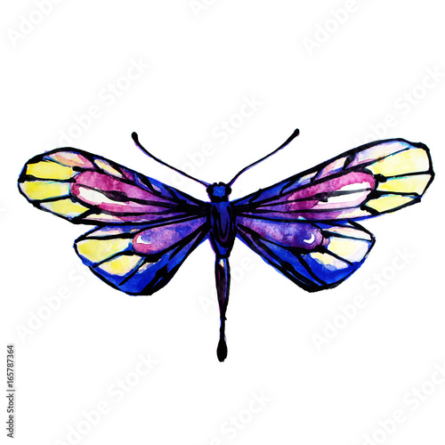 beautiful dragonfly, butterfly,watercolor,isolated on a white
