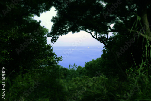 View from the Japanese garden on the wakayama mountain