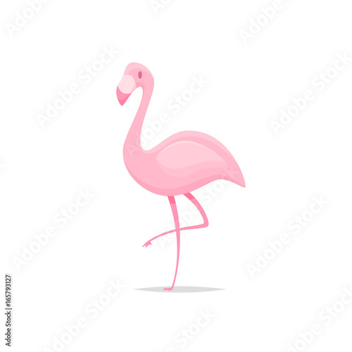 Flamingo bird cartoon vector 