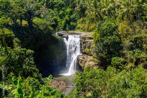 Landscape of Tropical Forest and Waterfall
