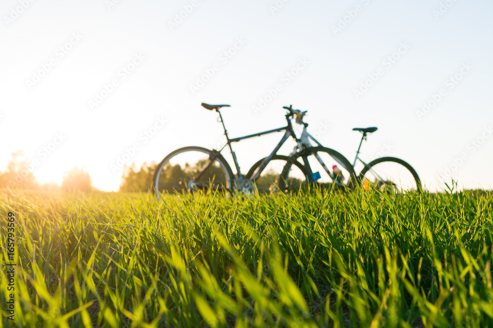 Fototapeta premium grass foreground and bicycles