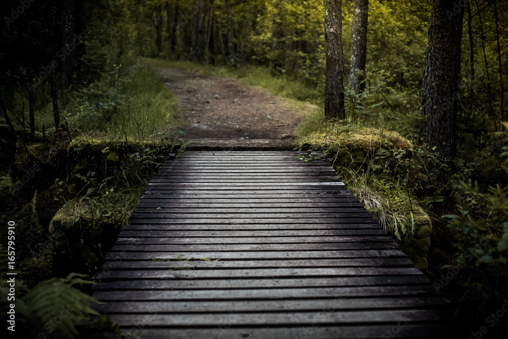 Bridge over the waterfall in Forest in a dark color. Gloomy forest at dusk with a small wooden bridge Bridge over the waterfall in Forest in a dark color. Gloomy forest at dusk with a small wooden bridge