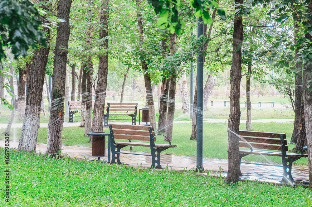 Green city park with trees and benches at early morning Green city park with trees and benches at early morning