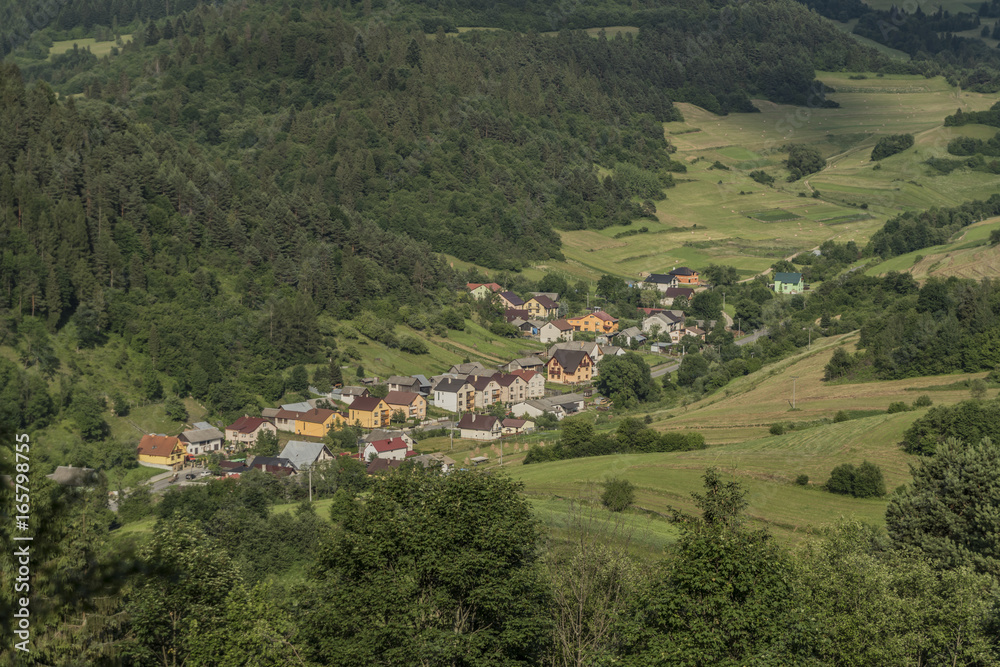 Sunny summer day over Lesnica village