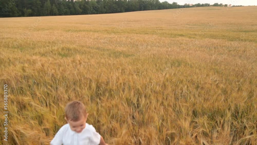 boy runs on a wheat field boy runs on a wheat field