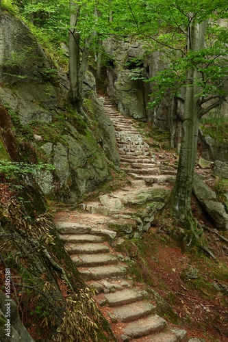 Path in mountains to old castle in Poland