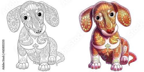 Coloring book page of dachshund puppy dog. Monochrome and colored samples. Freehand sketch drawing for adult antistress colouring with doodle and zentangle elements.