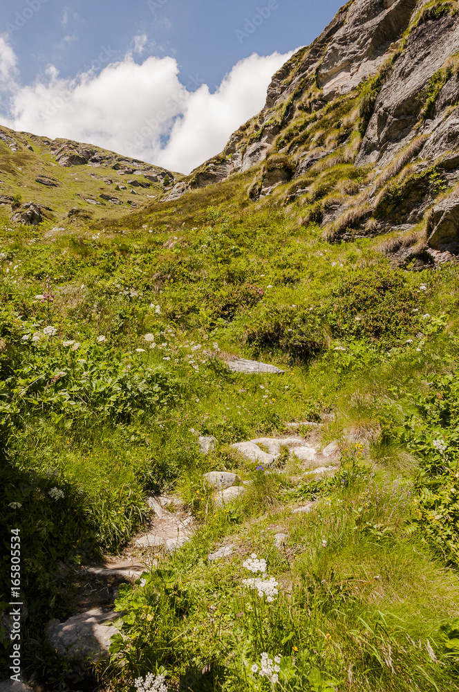 Maloja, Via Engiadina, Wanderweg, Höhenweg, Grevasalvas, Oberengadin, Alpen, Graubünden, Sommer, Schweiz