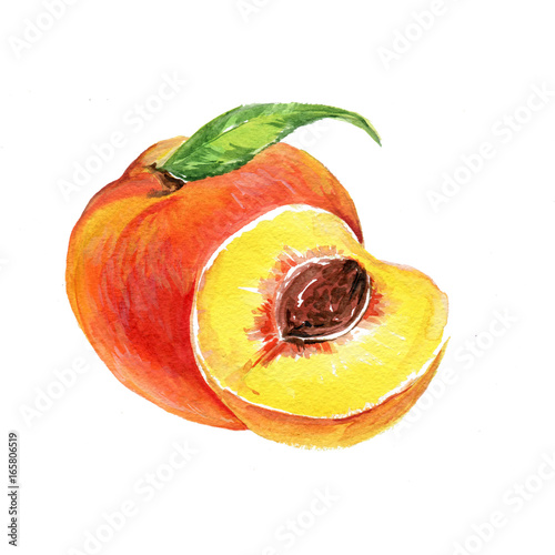 Apricot