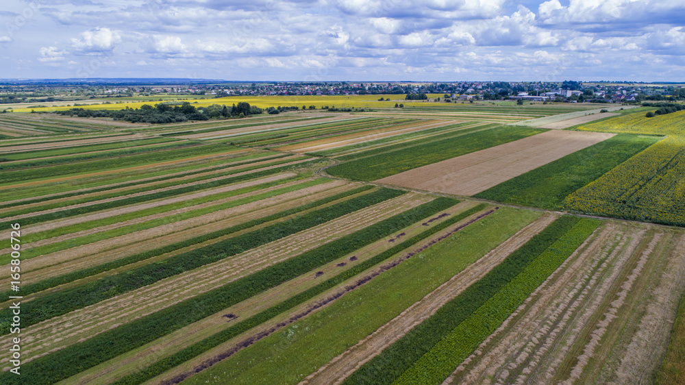 aerial view agriculture field summer day. Summer day landscape. 