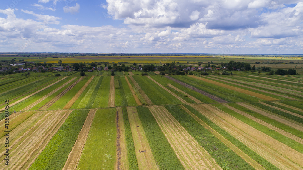 aerial view agriculture field summer day. Summer day landscape. 
