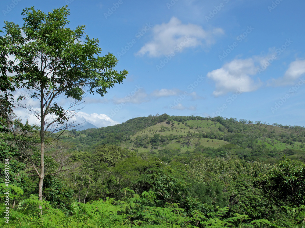 Tree, meadows and mountains in the Costa Rica highlands, Central America