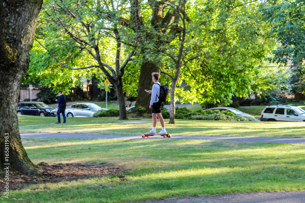 Fototapeta premium Skateboarder traveling through park