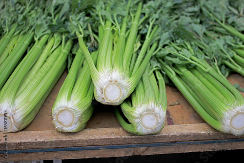 Fresh celery displayed at farmers market, Chile, South America