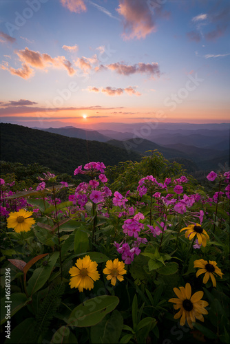 Wildflower sunset 