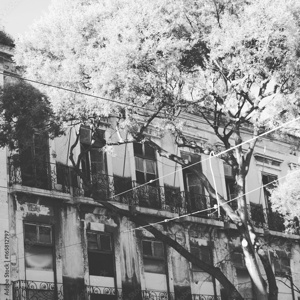 Fototapeta premium Lisboa