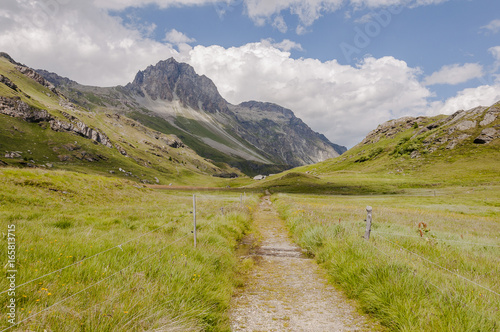 Maloja, Via Engiadina, Wanderweg, Höhenweg, Grevasalvas, Oberengadin, Alpen, Piz Lagrev, Bergwiese, Bergkräuter, Graubünden, Sommer, Schweiz