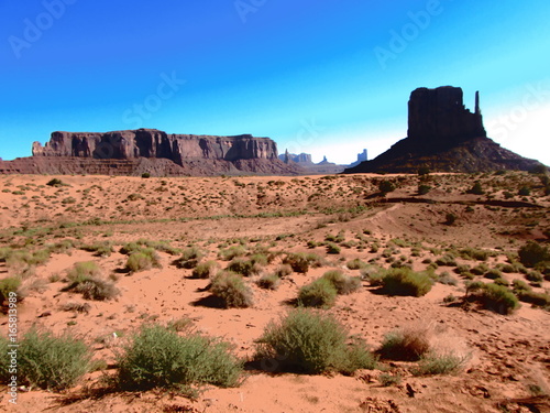 Arizona