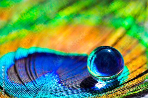 Water gel balls at peacock feathers. Beautiful transfusion of light and colors in the middle of the hydrogel.