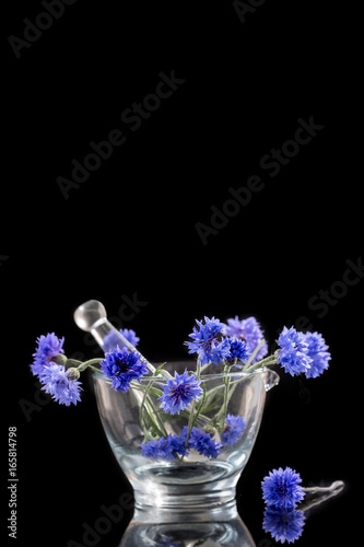 Beautiful blue cornflower in glass mortarisolated on black background