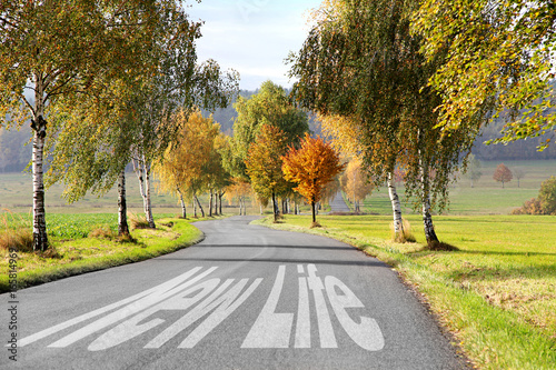 new life road