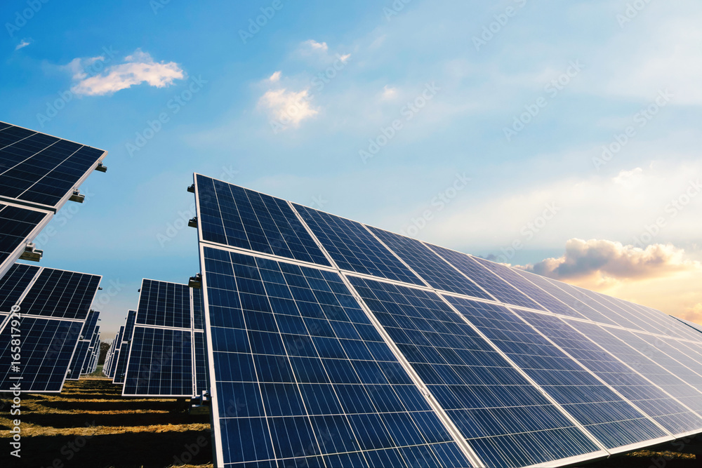Solar panels with morning sunlight sky Solar panels with morning sunlight sky
