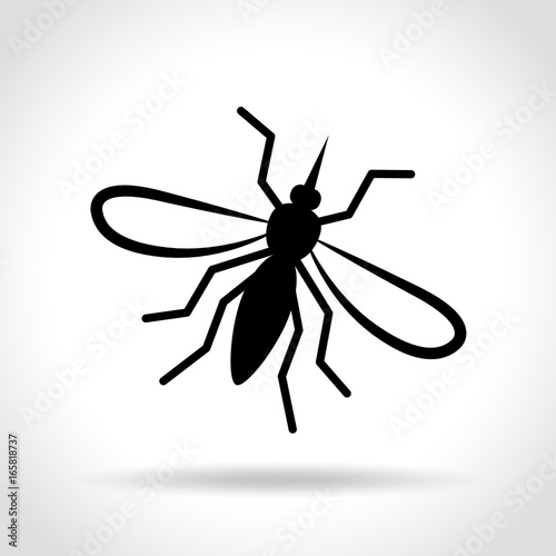 mosquito icon on white background