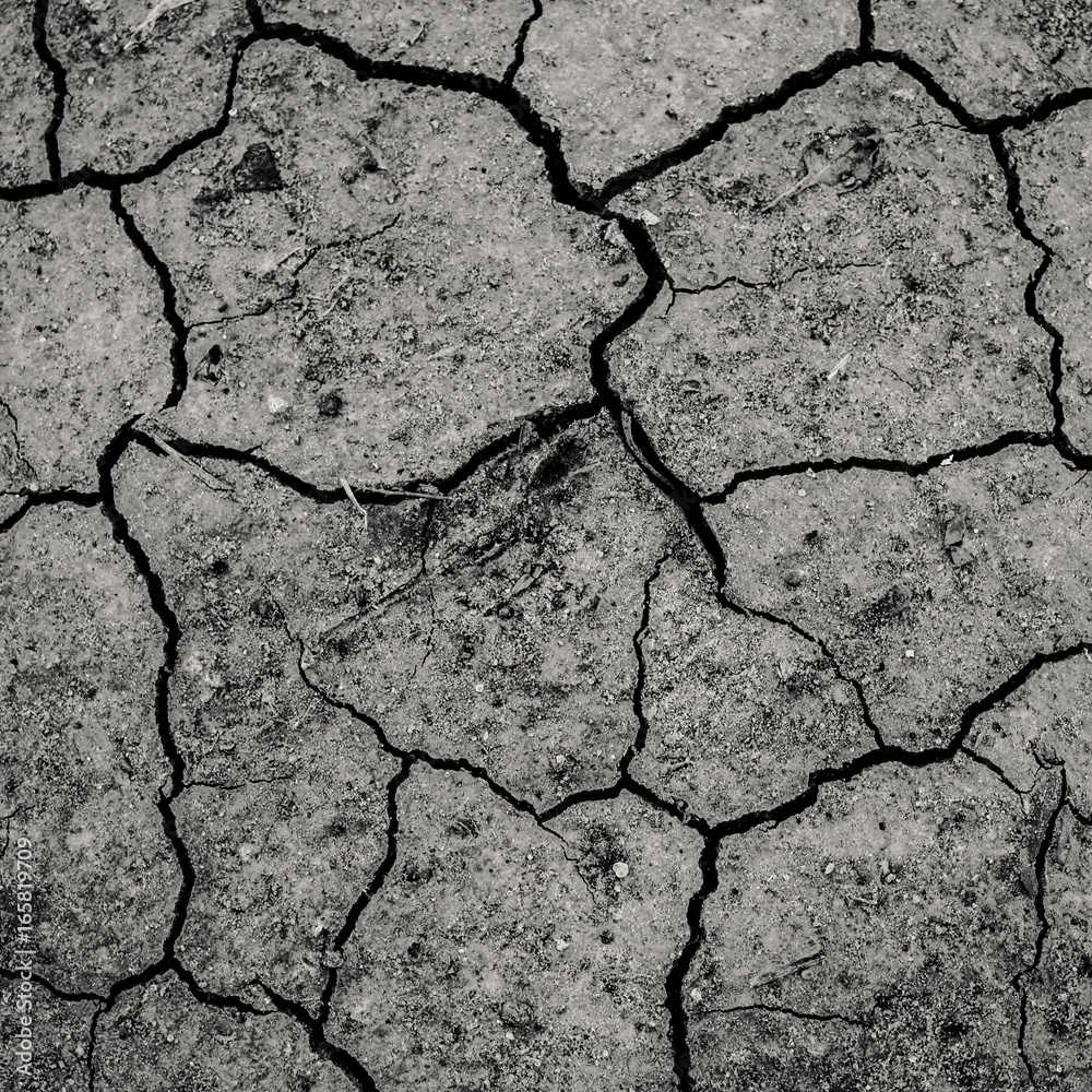 Fototapeta premium Desert Texture