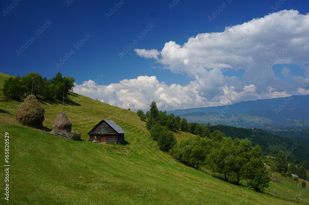 paysage Transylvanie